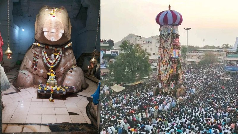 Untitled design (78)