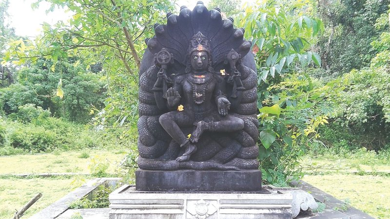 Untitled design (80)