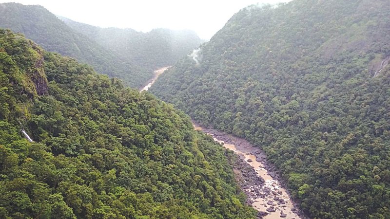 Untitled design (81)