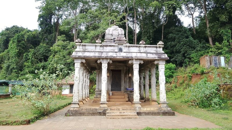 Untitled design (82)