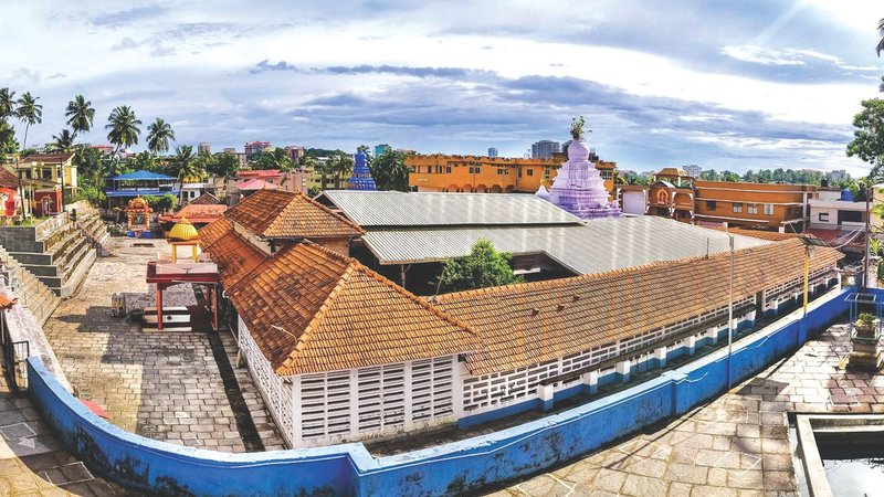 Untitled design (85)