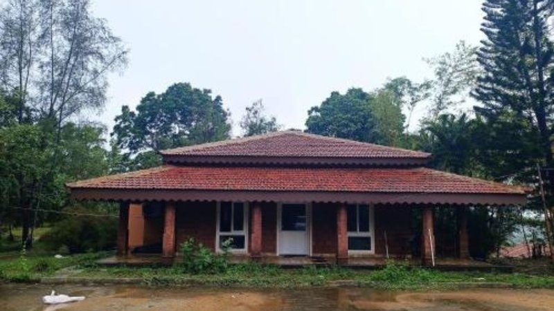 Untitled design (87)