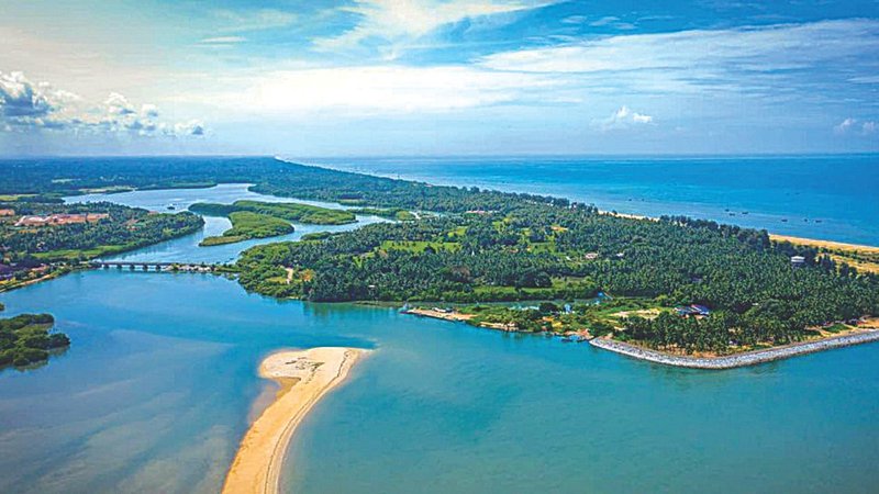 Untitled design (91)