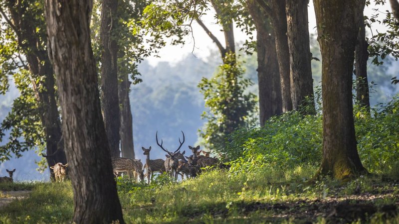 Untitled design (92)