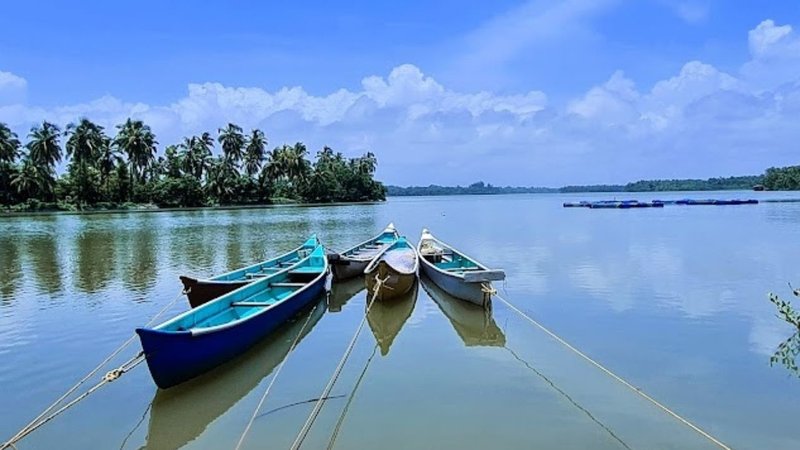 Untitled design (93)