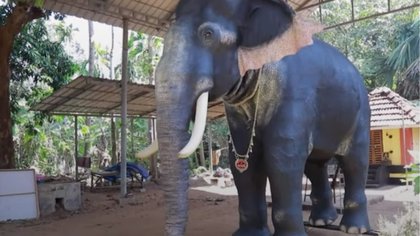 ಆನೆಗಳ ಸಂರಕ್ಷಣೆಯಲ್ಲಿ ಹೊಸ ಕ್ರಾಂತಿ