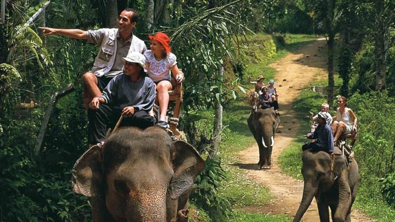 Untitled design (95)