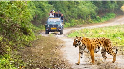 ಜಿಮ್ ಕಾರ್ಬೆಟ್ ಆದಾಯದ ಹೊಡೆತ