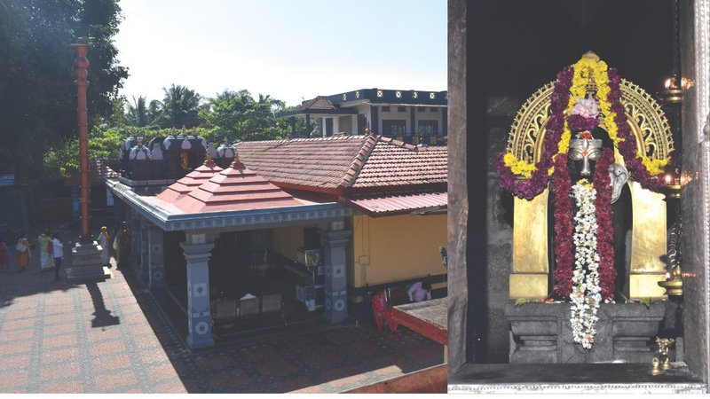 Untitled design (96)