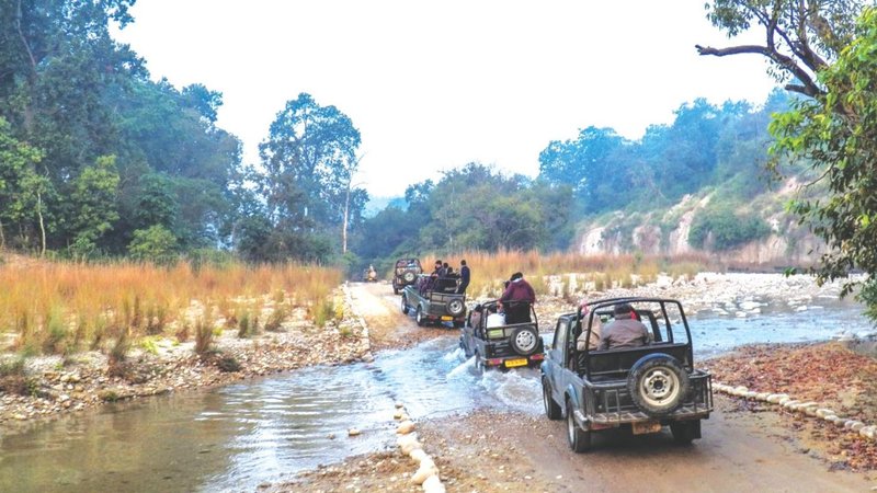 Untitled design (98)