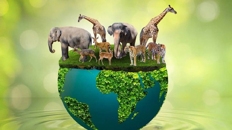 WORLD ANIMAL DAY