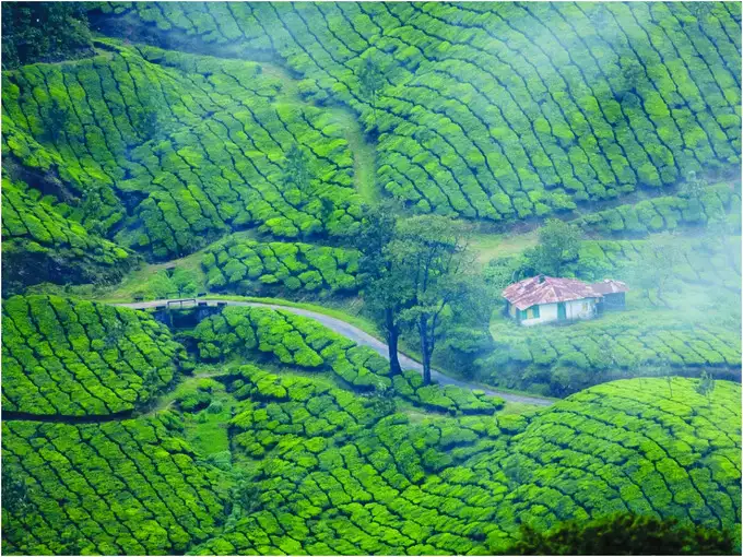 Wayanad