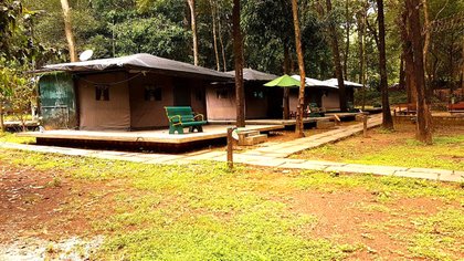 ಆನೆಝರಿ ಅಲ್ಲ, ಚಿಟ್ಟೆಝರಿ ಇದು!