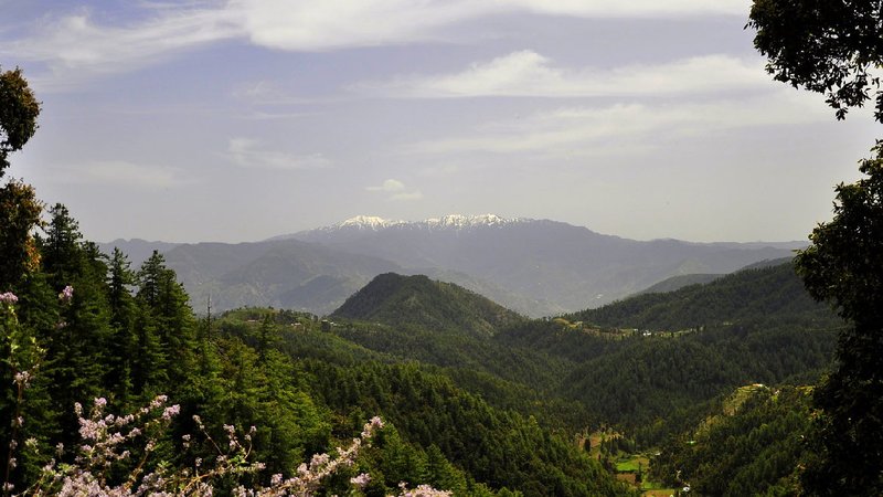 chail-tourism-himachal