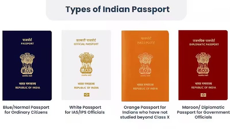 colour passport 3