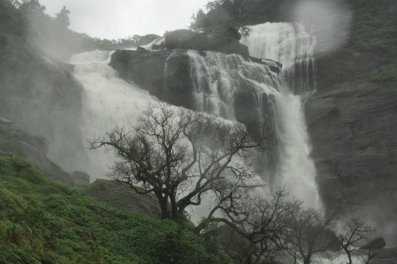 coorg