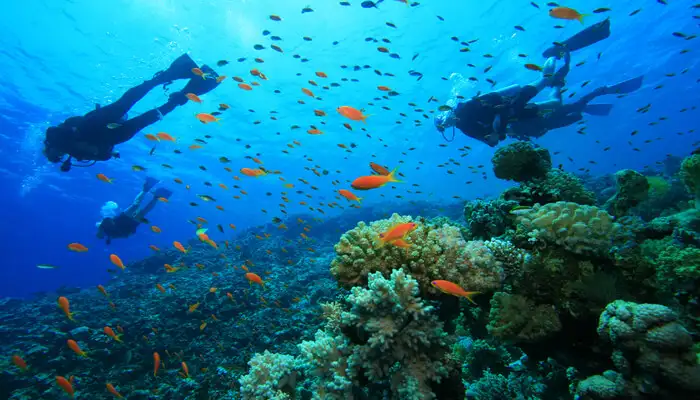 cover-for-Scuba-Diving-In-Lakshadweep_31st-Jan