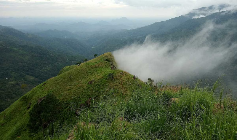 dandeli_P9107