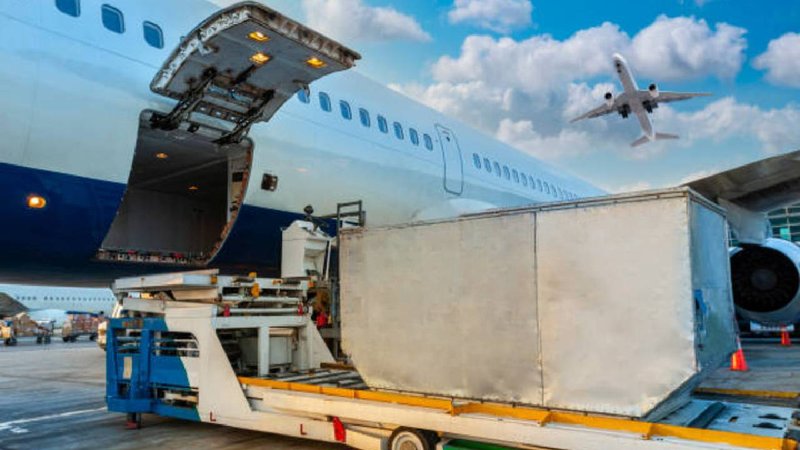 dead body transport by flight 2