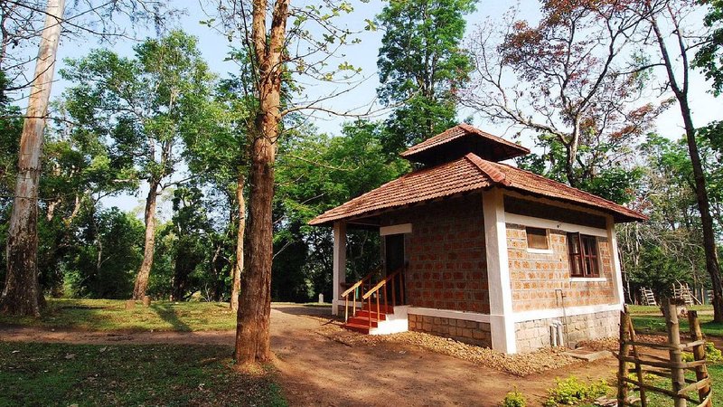 dubare elephant camp 1