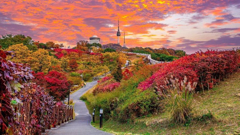 fall foliage