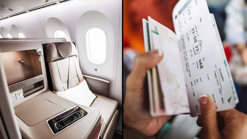 flight seat