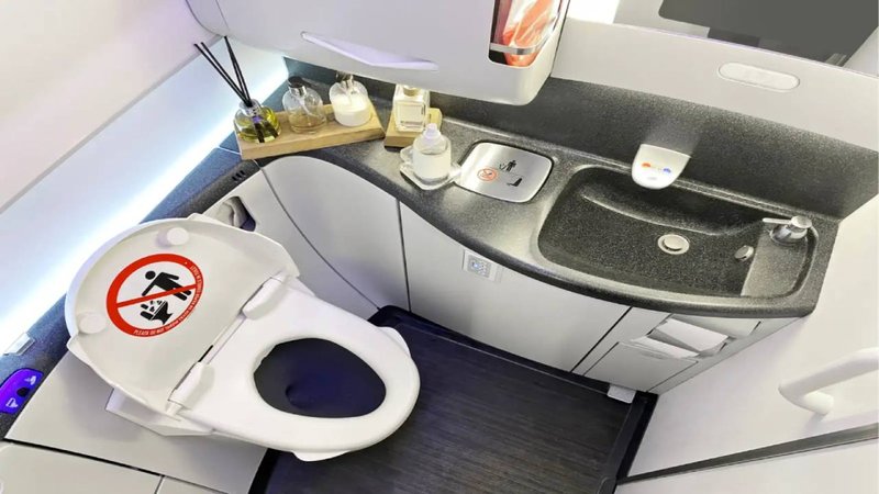 flight toilet 1