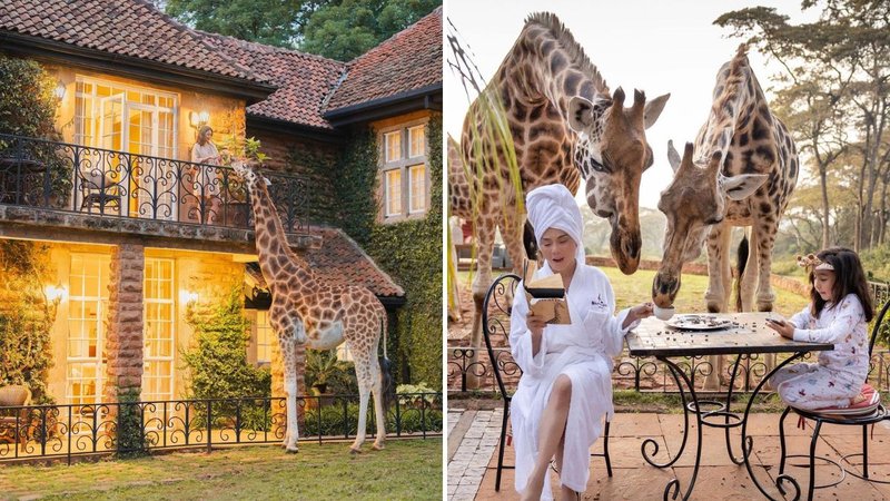 giraffe-manor-kenya-1688957864