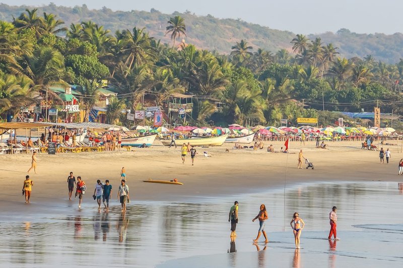 goa new