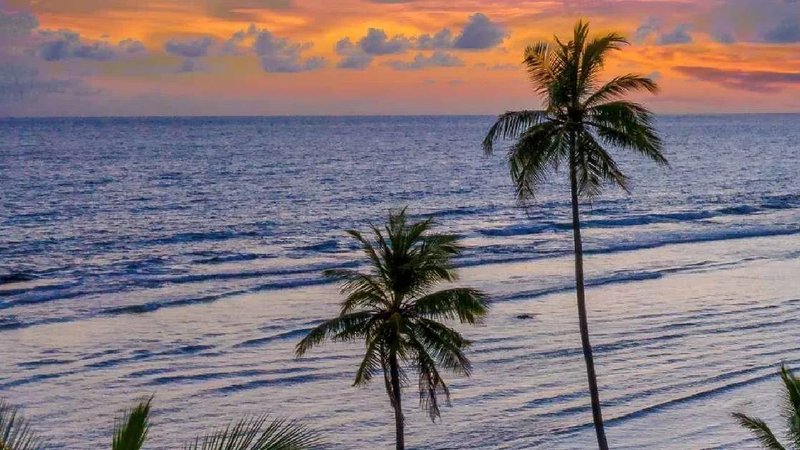 goa tour