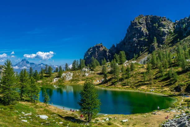 istockphoto-1629225899-612x612