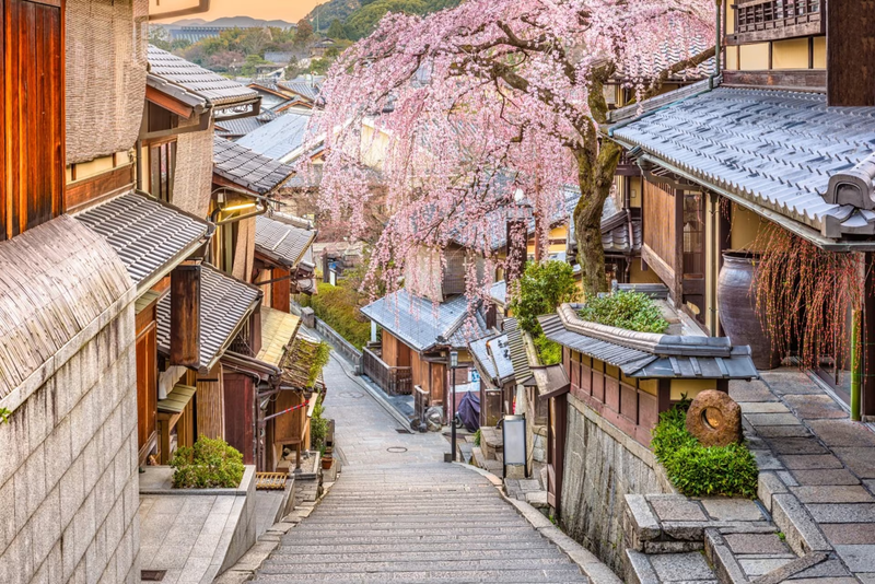 japan new