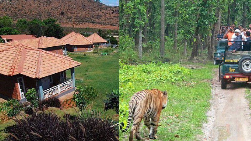 jungle lodge - bandipur