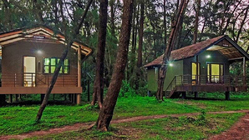 jungle lodge - bandipur 1