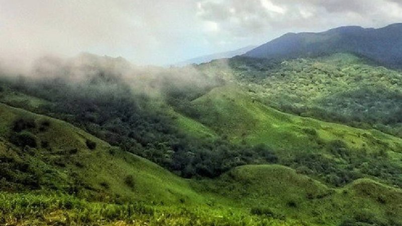 kappattagudda (1)