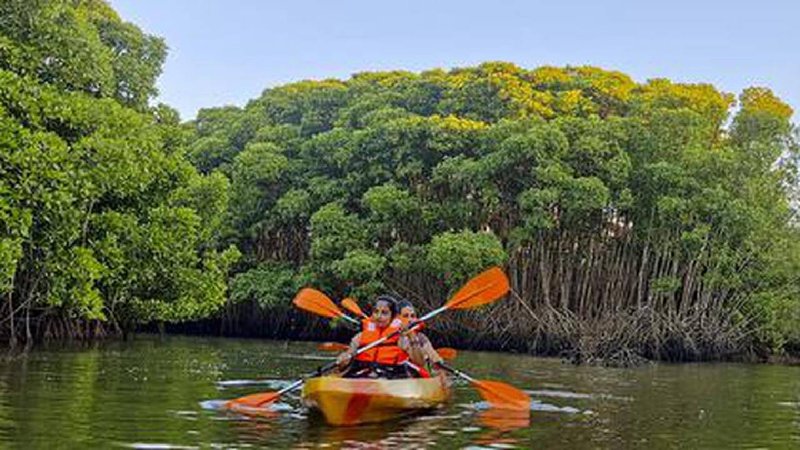 kayaking at kodagu 1