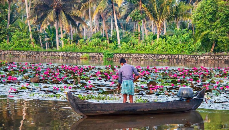 kerala