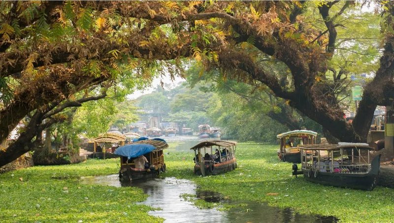 kerala monsoon