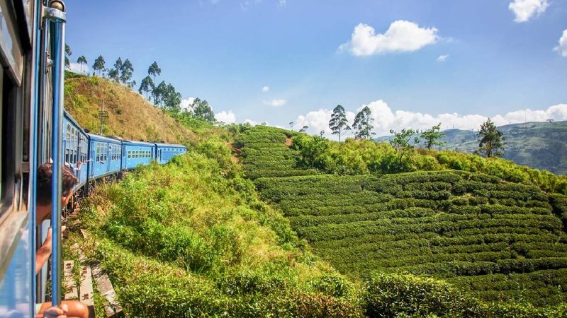 kolambo