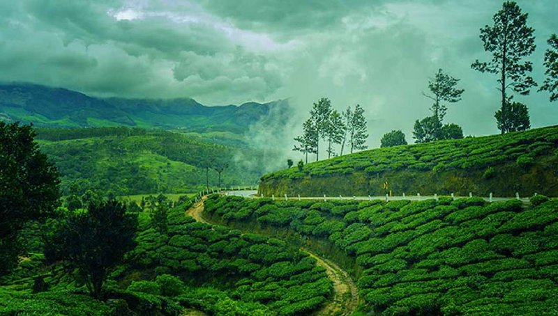 monsoon kerala