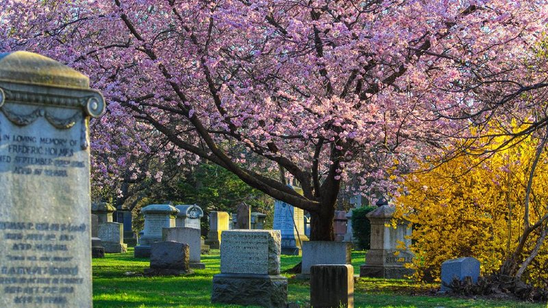 mount pleasant cemetery toronto 1