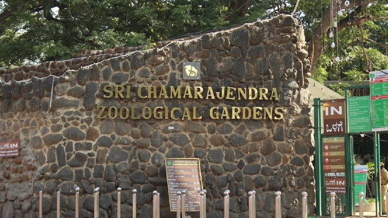 mysore zoo