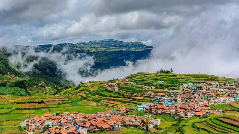 ooty