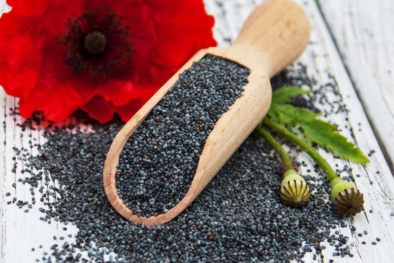 poppy-seeds