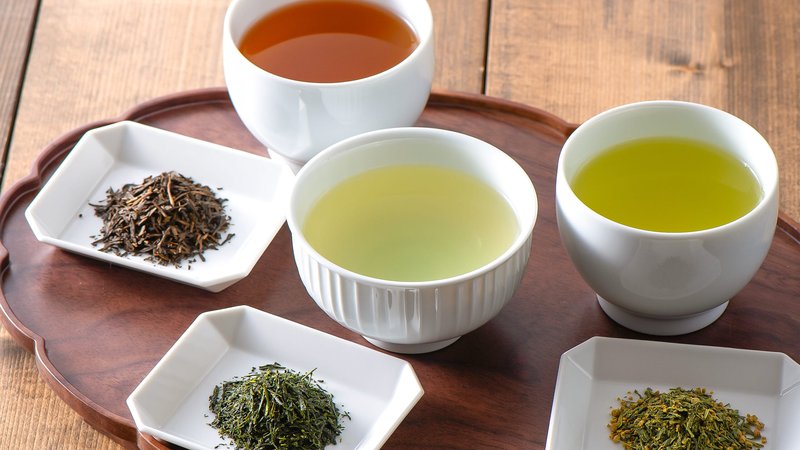 sencha tea new