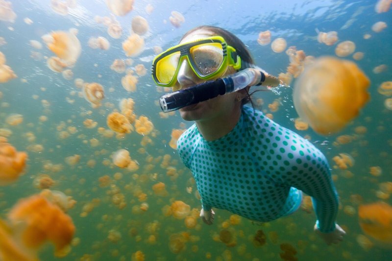 snorkeling-in-jellyfish-lake