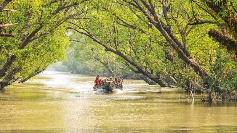 sundarban