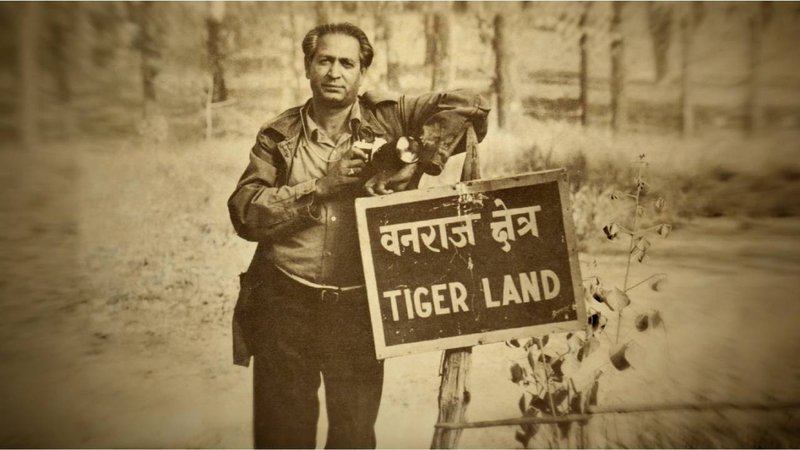 tiger man