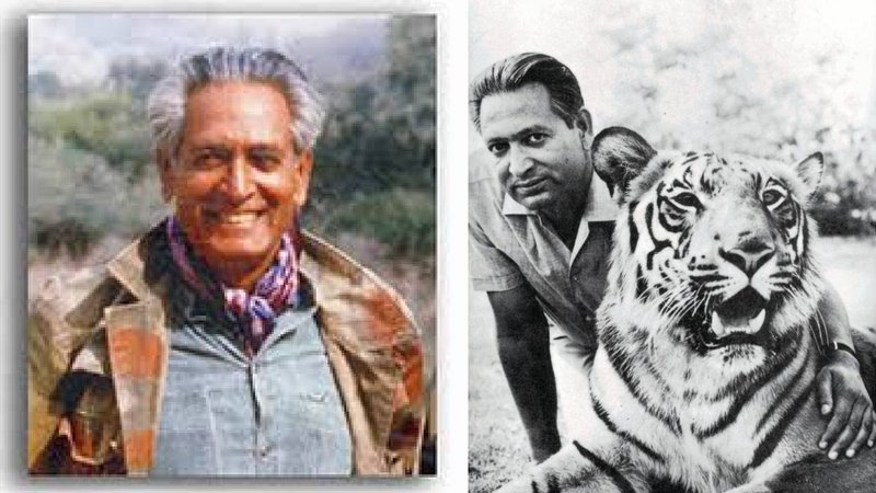 tiger man 2