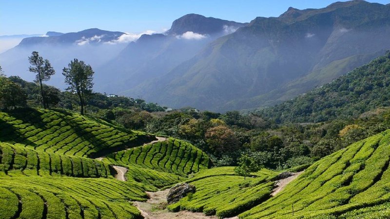 valparai view